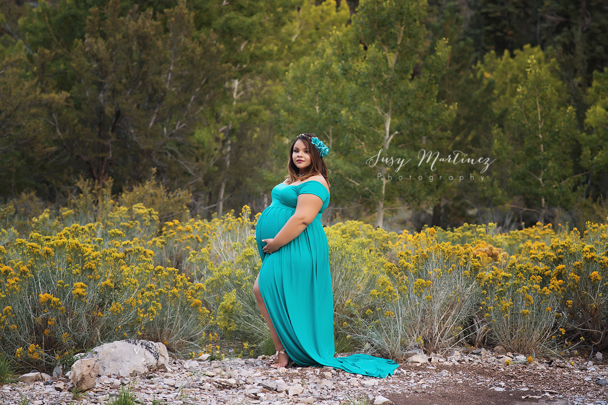 Fall Maternity Gowns | Henderson Maternity Photographer