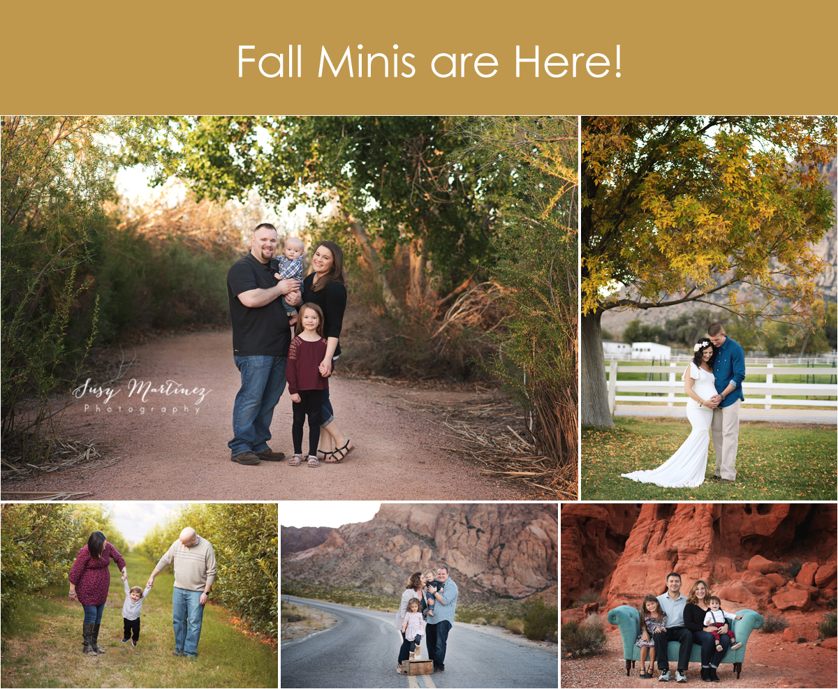Fall Mini Sessions | Henderson Family Photographer