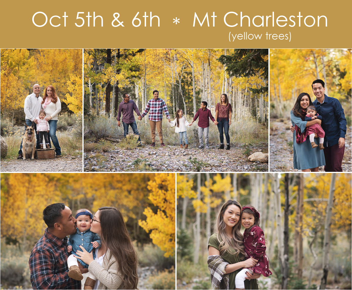 Mt. Charleston fall mini sessions by Susy Martinez Photography