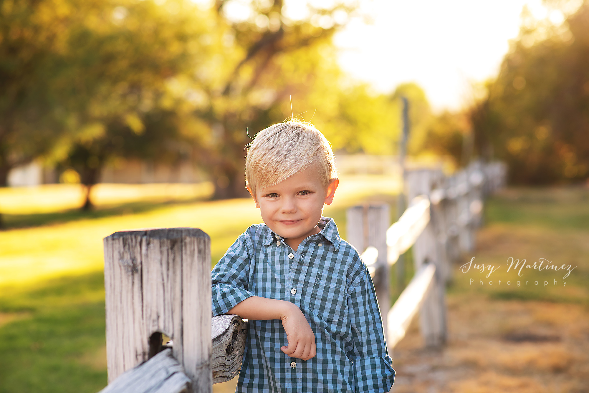 milestone portrait of toddler boy along wooden fence